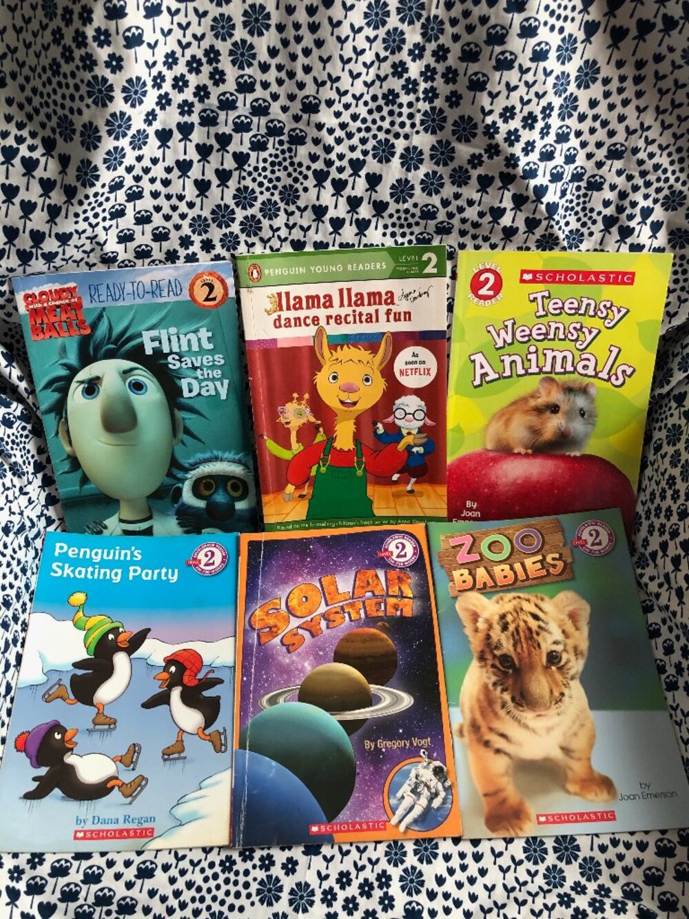 Lot of 6 Reader Book Level 2 Ready To Read Scholastic Penguin Mixed Animals
